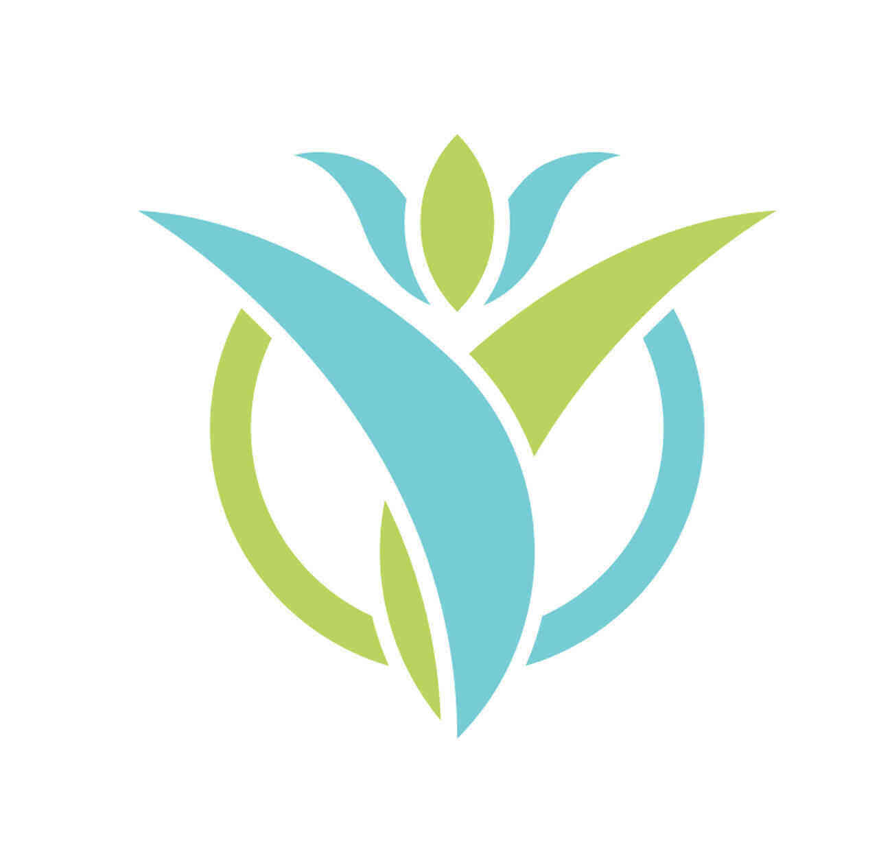 icon category
